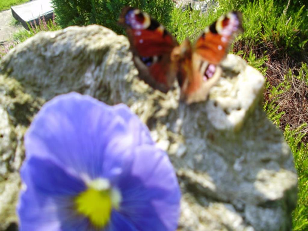 Roslin Cottage Callander Esterno foto
