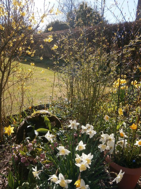 Roslin Cottage Callander Esterno foto